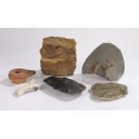 Fossilised section of tree, together with a flint axe head, a Roman oil lamp, fossilised seaweed,