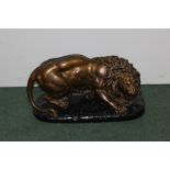 Bronzed plaster model of a lion, 43cm diameter