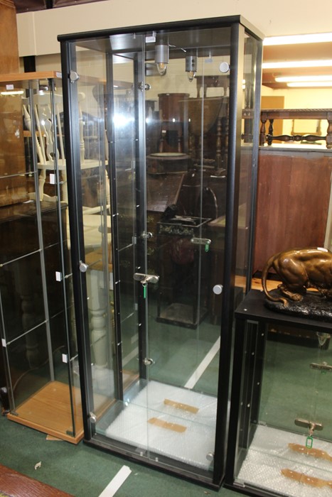 Glazed display cabinet, 66cm 175cm
