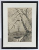 Alfred Richard Blundell (1883-1968), trees overhanging a stream, unsigned pencil study, housed in an