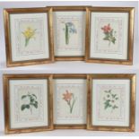 Six limited edition Natural History Museum botanical prints from the series "Les Belles Fleurs de