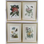 Set of four coloured prints depicting various flowers and butterflies, housed in gilt glazed frames,