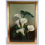 J.M. Peake, Still life study of Calla lilies, signed oil on canvas, housed in a gilt frame, the