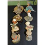 Arden Sculptures, to include a King fisher, robin, etc, Country Artist models, (8)