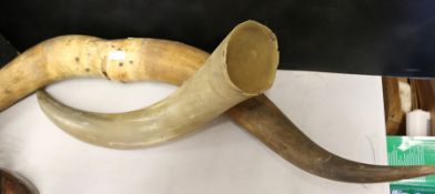 Pair of mounted cow horns, single cow horn (2)