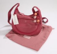 Radley Wyndham across body handbag, 26cm wide, with bag