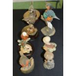 Arden Sculptures, to include a kingfisher, robin, etc, Country Artist models, (8)