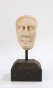 Grand Tour Roman style carved marble head. of small proportions, with short curled hair, 8.5cm high