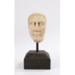 Grand Tour Roman style carved marble head. of small proportions, with short curled hair, 8.5cm high