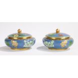 Pair of Chinese cloisonné pots and covers, with a blue ground and flower head design and butterflies
