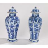 Pair of Chinese blue and white porcelain vases, Qing Dynasty, with fruits and trailing vines above