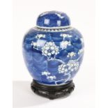 Chinese ovoid porcelain ginger jar and cover, decorated with prunus blossoms, raised on a stand,