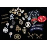 British army cap badges and buttons including Royal Signals, Royal Berkshire, Royal Anglian,etc,