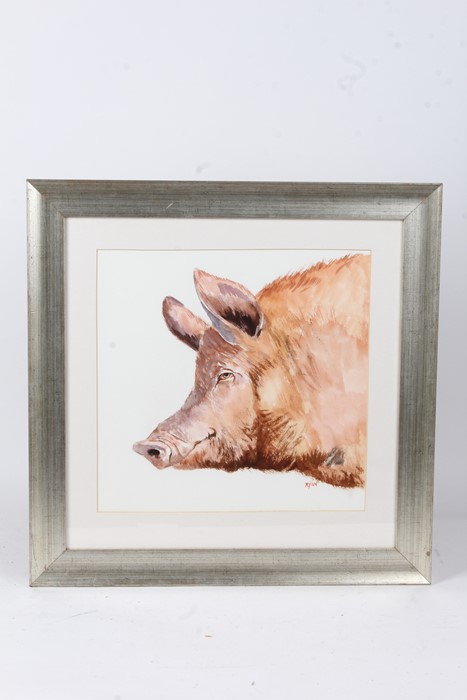 John Ryan, face of a pig, signed watercolour, housed in a silvered glazed frame, the watercolour