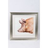 John Ryan, face of a pig, signed watercolour, housed in a silvered glazed frame, the watercolour