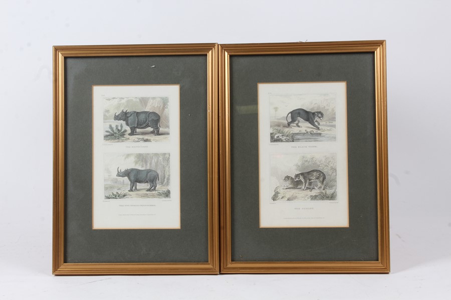 Pair of framed bookplates depicting the rhinoceros, the two horned rhinoceros, the black tiger and - Image 2 of 2