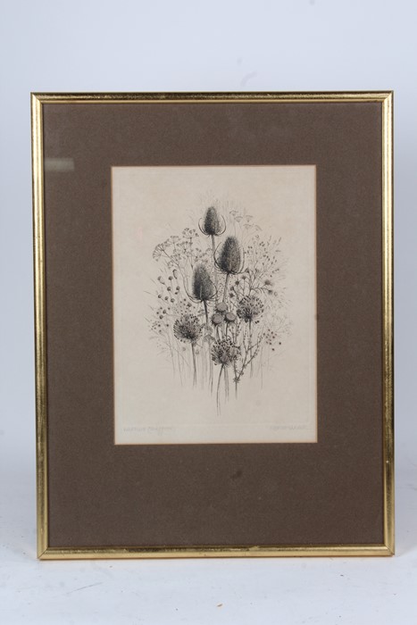 Kathleen Caddick (B1937), Wild Flora (Trial Proof), pair of signed prints, housed in gilt and glazed