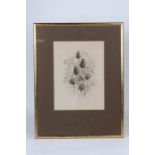 Kathleen Caddick (B1937), Wild Flora (Trial Proof), pair of signed prints, housed in gilt and glazed