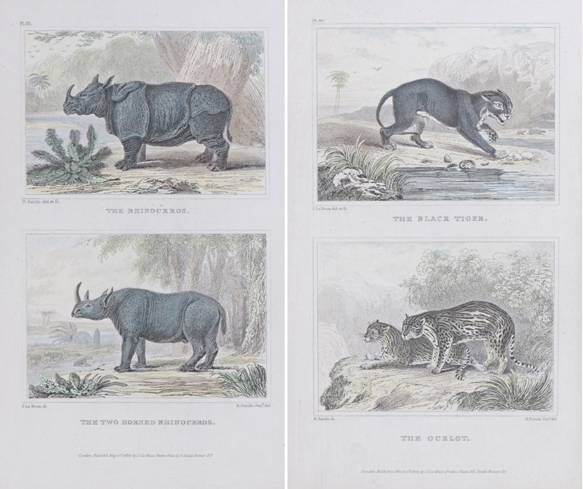 Pair of framed bookplates depicting the rhinoceros, the two horned rhinoceros, the black tiger and