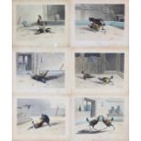 Six Cock Fighting Scenes after N Fielding (Newton Fielding) Published by R Ackermann 1834 - 'Set