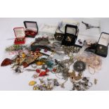 Costume jewellery, to include silver and turquoise enamel pendant, necklaces, earrings, brooches,