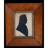 Early 19th Century silhouette, of a gentleman in maple frame, 14.5cm x 17cm