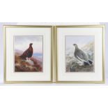 David Kristupas (B.1954) Grouse and a Partridge, a pair of watercolours, 27cm x 34.5cm, (2)