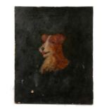 19th Century British School, a primitive painting of a Jack Russell, the head and shoulders