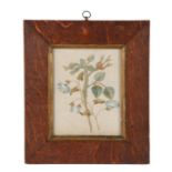 19th Century silk embroidery, depicting a flower sprig, 14cm x 18cm, house within an oak frame