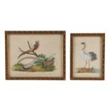 Two early 19th Century bird pictures, the 3D birds finely cut from paper on watercolour background