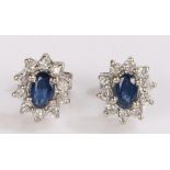 Pair of sapphire and diamond earrings, with central sapphires and diamond surround, 6mm diameter