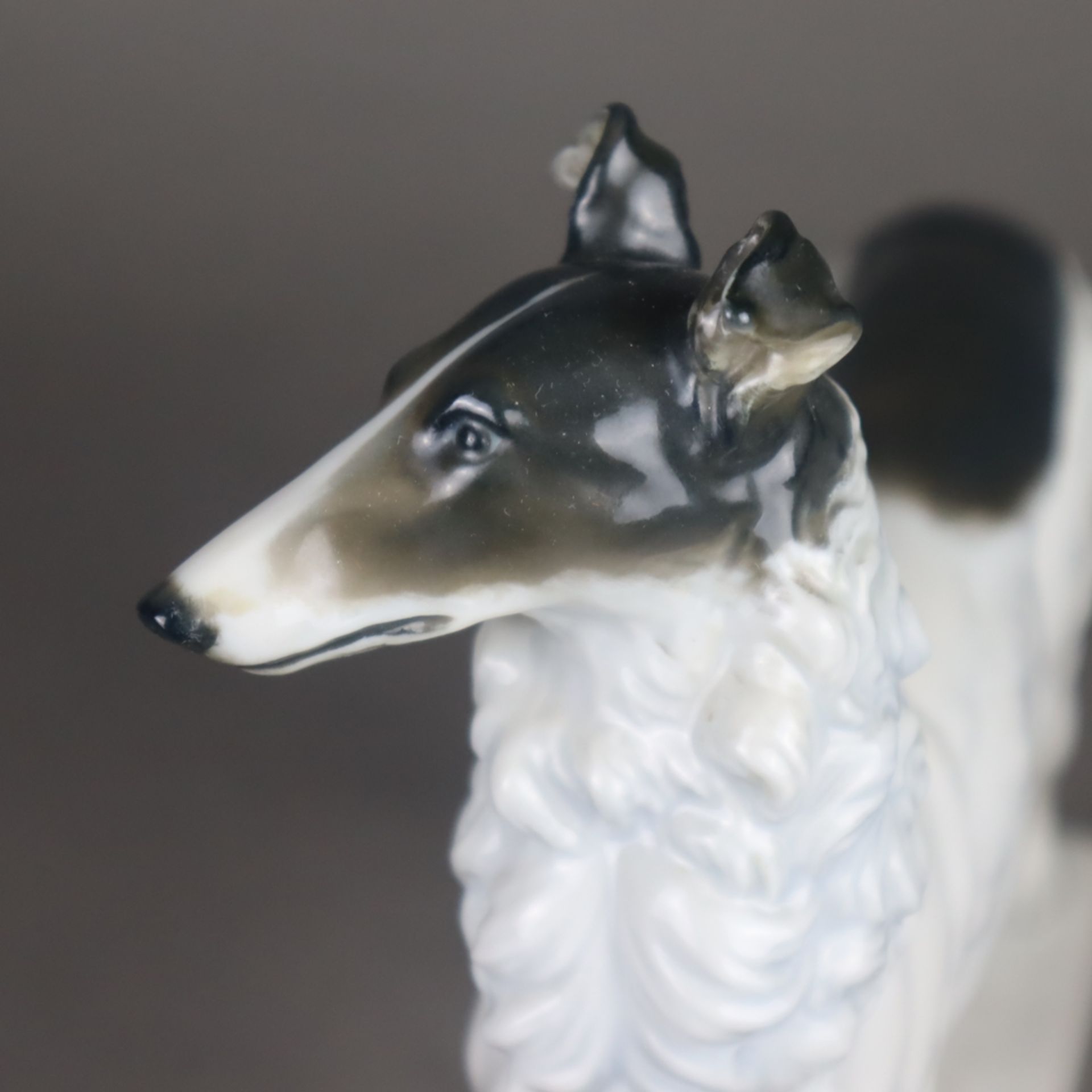 Tierfigur "Barsoi / Russischer Windhund" - Rosenthal, Kunstabteilung Selb, Entwurf von Max Hermann - Bild 3 aus 10