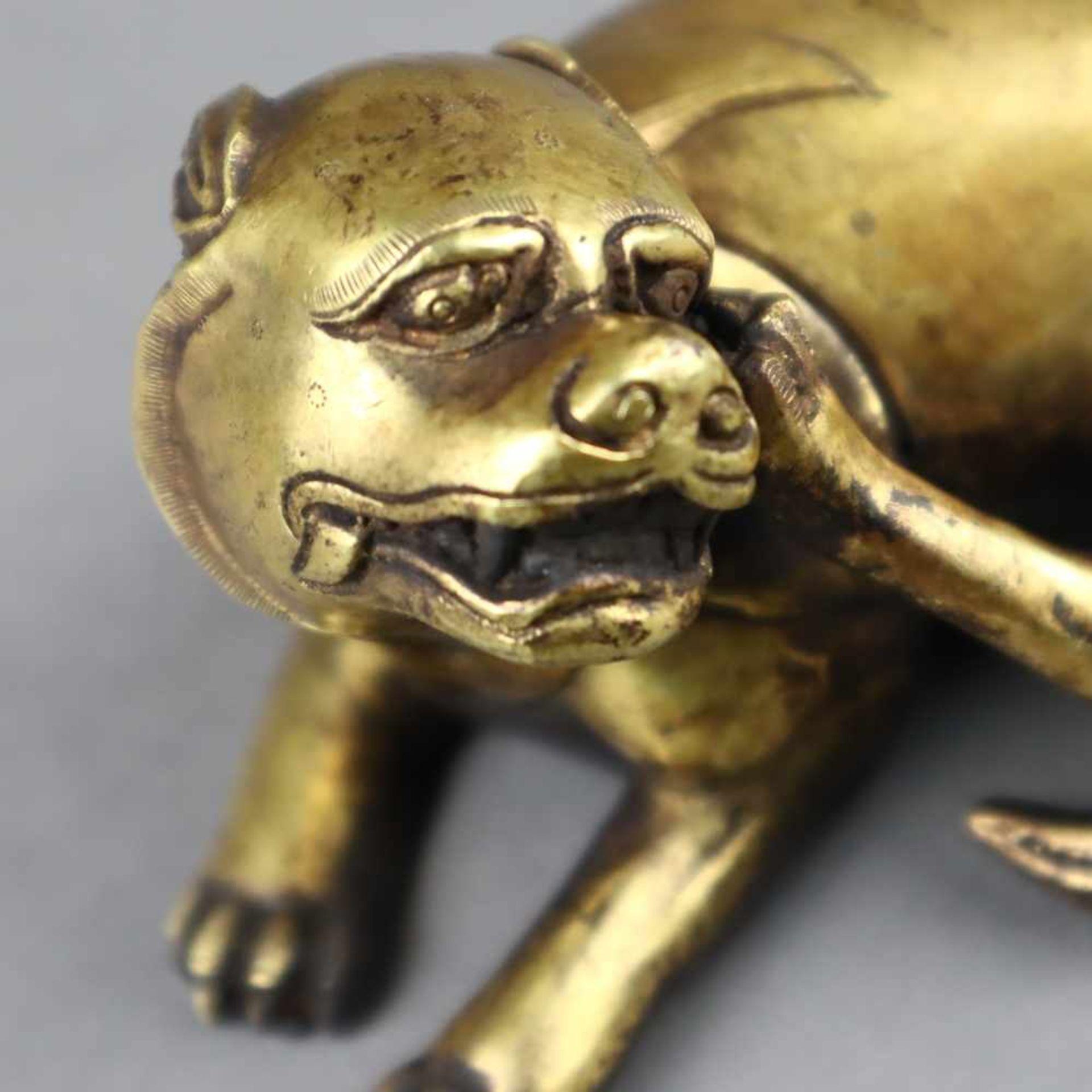 Bixie - China, Qing-Dynastie, Bronze-Hohlguss vergoldet, ziergraviert, Vergoldung teils berieben, - Bild 3 aus 8