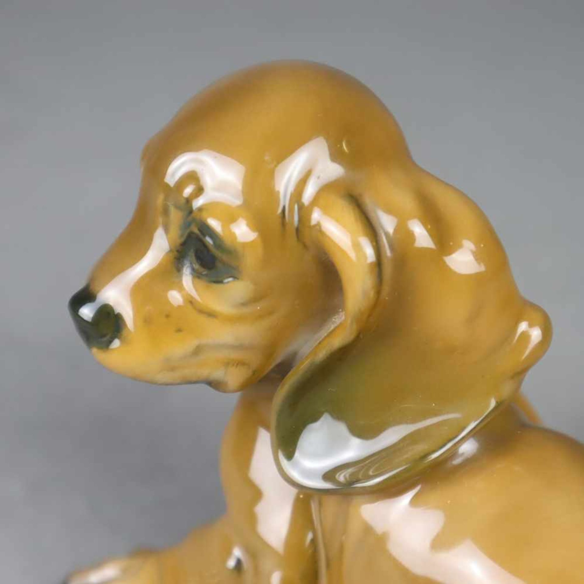 Tierfigur "Junger Dackel" - Rosenthal, Entwurf von Georg Küspert 1953, Mod.nr. 1909, vollplastische, - Bild 4 aus 7