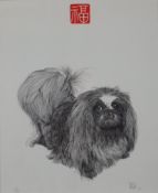 Yuen, T.Y. (*1956 Shanghai, lebt in Hong Kong) - Pekinese, 1980 Multiple zum "Jahr des Hundes" im