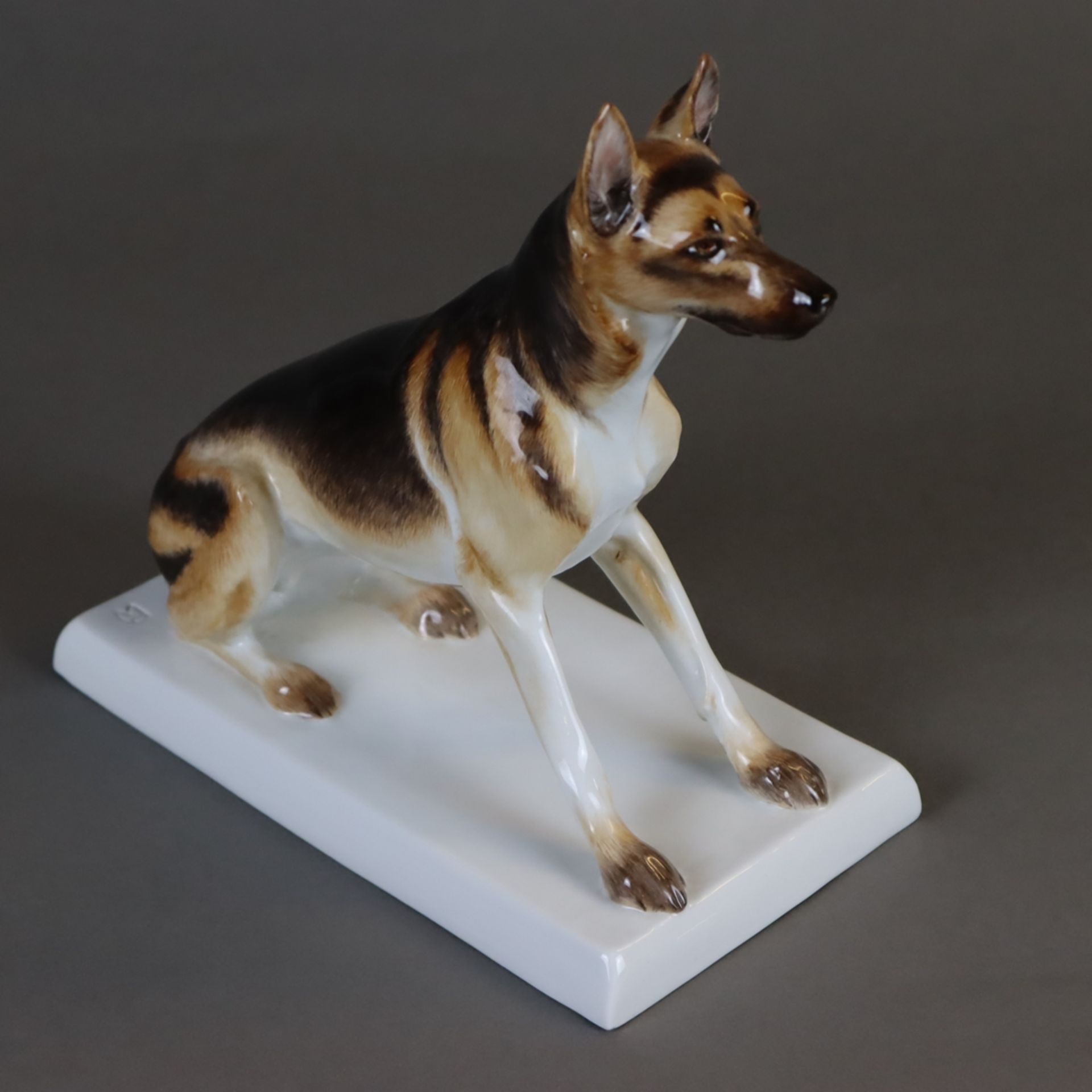 Meissen Tierfigur "Schäferhund" - unterglasurblaue Schwertermarke, Entwurf von Paul Walther 1915, - Bild 2 aus 12