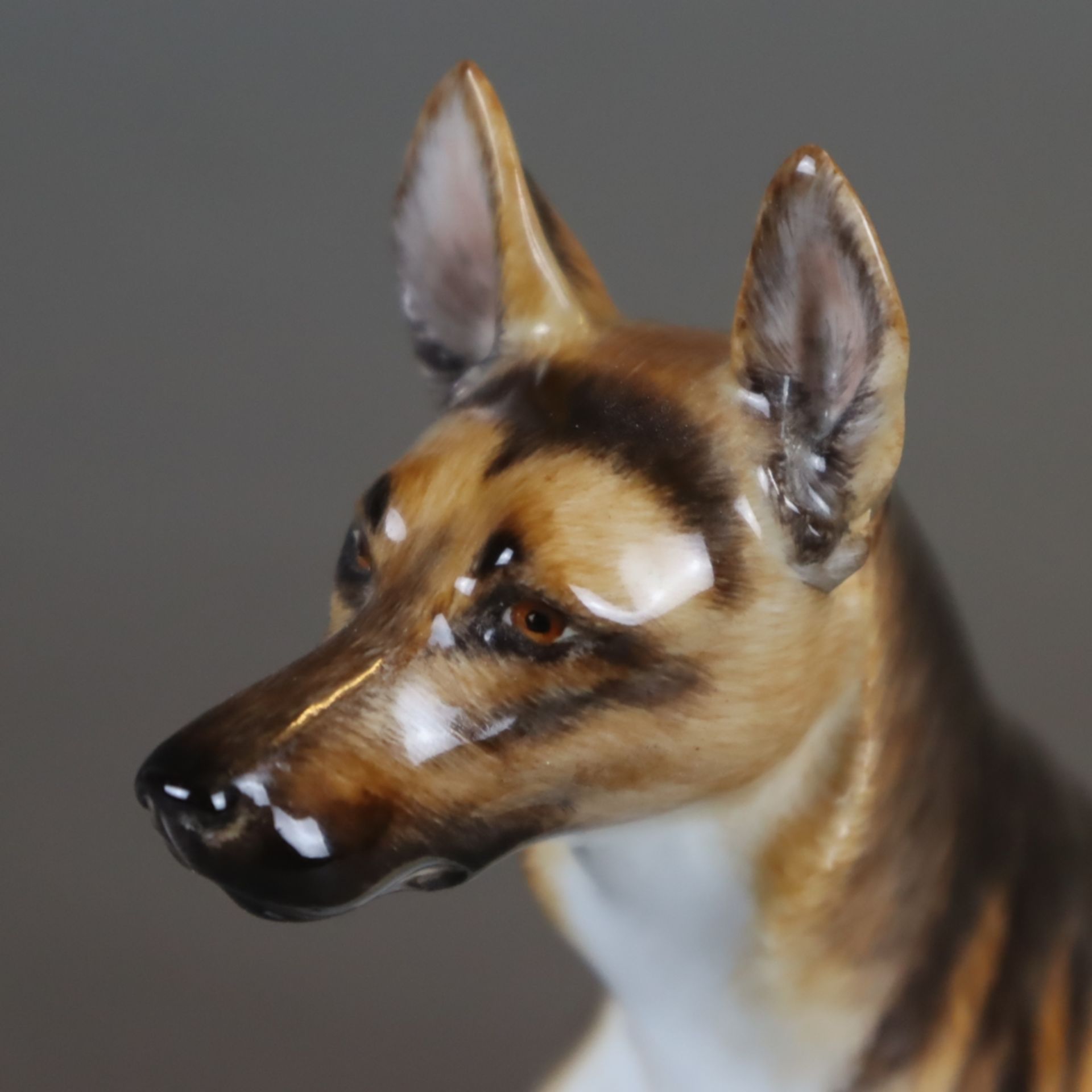 Meissen Tierfigur "Schäferhund" - unterglasurblaue Schwertermarke, Entwurf von Paul Walther 1915, - Bild 5 aus 12