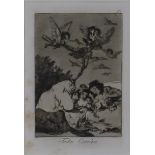 Goya, Francisco de (1746 Fuendetodos-1828 Bordeaux) - "Todos Caerán", Blatt 19 der Folge "Los
