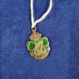 VICTORIAN IRISH SILVER & ENAMEL MEDAL 1900