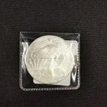 USA SILVER DOLLAR COIN