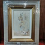 CON CAMPBELL - OIL ON BOARD - IRISH HARE 10.5X6.5