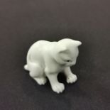 IVORY STYLE CAT