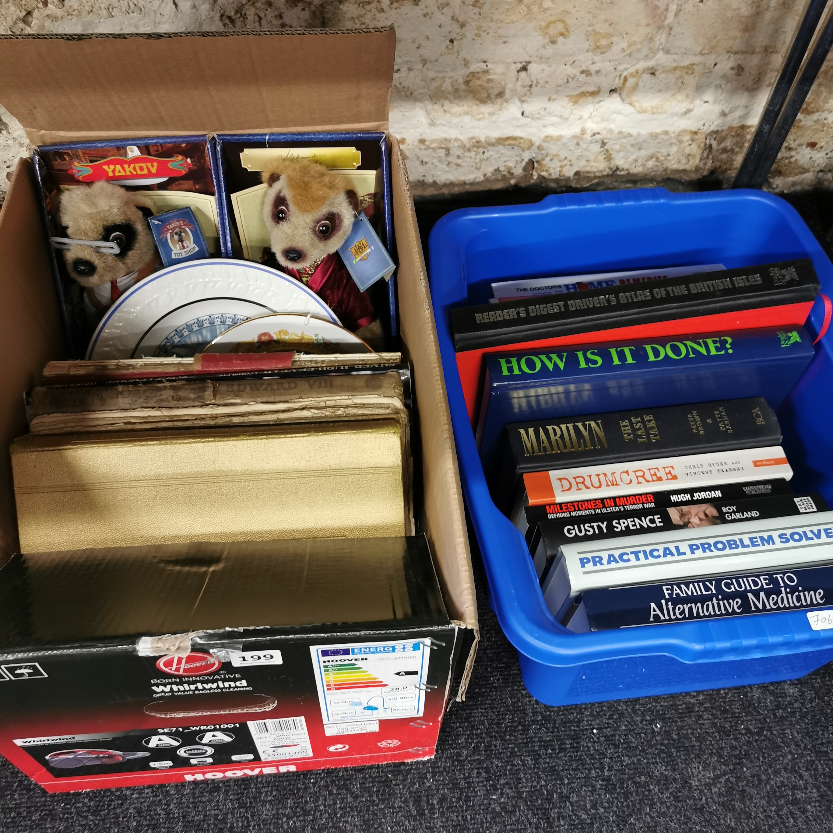 2 BOX LOTS TO INCLUDE MEERKAT TOYS AND BOOKS