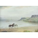 CHARLES MCAULEY - OIL ON BOARD - HORSES ON THE BEACH 19' X 13.5'