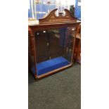 EDWARDIAN DISPLAY CASE