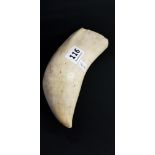 ANTIQUE WHALES TOOTH