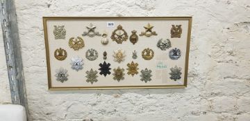 COLLECTION (24) OF MILITARY BADGES