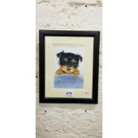 LYDIA BOAL WATERCOLOUR DOG