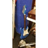 BLUE AND CREAM FENDER