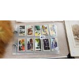 BROOK BOND OXO LTD POLICE CARDS FULL SET OF 40